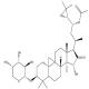 乙酰升麻新醇-3-O-Α-L-阿拉伯糖苷-CAS:402513-88-6