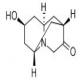 内-六氢-8-羟基-2,6-亚甲基-2H-喹嗪-3(4H)-酮-CAS:115956-07-5