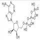 三磷酸腺苷-CAS:56-65-5