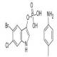 5-溴-6-氯-3-吲哚磷酸甲苯胺-CAS:6769-80-8