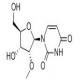 2'-甲氧基尿苷-CAS:2140-76-3