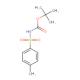 N-(叔丁氧羰基)对甲苯磺酰胺-CAS:18303-04-3