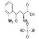 L-犬尿氨酸硫酸盐-CAS:16055-30-4