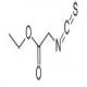 异硫氰基乙酸乙酯-CAS:24066-82-8