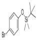 (4-溴苯氧基)叔丁基二甲基硅烷-CAS:67963-68-2