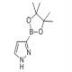 1 H-吡唑-3-硼酸频哪酯-CAS:844501-71-9
