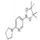 2-吡咯烷-1-基吡啶-5-硼酸频那醇酯-CAS:933986-97-1