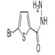 5-溴噻吩-2-甲酰肼-CAS:98027-27-1