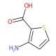 3-氨基-2-噻吩甲酸-CAS:55341-87-2