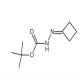 叔-丁基 2-环亚丁基肼甲酸基酯-CAS:158001-20-8