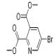 5-溴吡啶-2,3-二羧酸二甲酯-CAS:521980-82-5