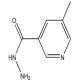5-甲基尼古丁酰肼-CAS:808127-97-1