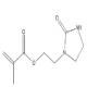 2-甲基-2-丙烯酸-2-(2-氧代-1-咪唑啉基)乙基酯-CAS:86261-90-7