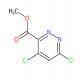 4,6-二氯哒嗪-3-羧酸甲酯-CAS:372118-01-9