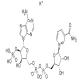 beta-烟酰胺腺嘌呤二核苷酸磷酸单钾盐-CAS:68141-45-7