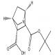 (1R,3S,4S)-N-Boc-2-氮杂双环[2.2.1]庚烷-3-羧酸-CAS:291775-59-2