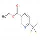 6-三氟甲基烟酸乙酯-CAS:597532-36-0