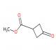 3-羰基-环丁烷甲酸甲酯-CAS:695-95-4