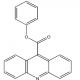 苯基吖啶-9-羧酸酯-CAS:109392-90-7