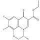 左氧氟沙星杂质-CAS:110548-06-6