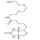 生物素-PEG2-胺-CAS:138529-46-1