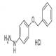 4-苄氧基苯肼盐酸盐-CAS:52068-30-1