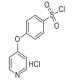 4-(4-吡啶氧基)苯磺酰氯盐酸盐-CAS:192330-49-7