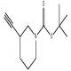 3-炔基哌啶-1-甲酸叔丁酯-CAS:664362-16-7
