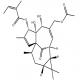 巨大戟醇-3-O-当归酸-20-乙酸酯-CAS:82425-35-2
