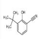 3-(叔丁基)-2-羟基苯甲腈-CAS:340131-70-6