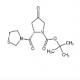 (2S)-4-氧代-2-(3-噻唑烷基羰基)-1-吡咯烷羧酸叔丁酯-CAS:401564-36-1