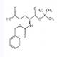 Z-谷氨酸叔丁基酯-CAS:5891-45-2