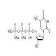 2'-脱氧胸苷5'-三磷酸[dTTP]三钠盐（水溶液）-CAS:27821-54-1