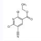 2,6-二氯-5-氰基烟酸乙酯-CAS:919354-52-2