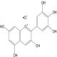 氯化飞燕草素-CAS:528-53-0