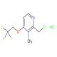 2-氯甲基-3-甲基-4-(2,2,2-三氟乙氧基)吡啶盐酸盐-CAS:127337-60-4