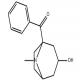 Benzoyltropein-CAS:19145-60-9