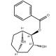 2-Benzoyloxy-3-hydroxynortropane-CAS:34622-25-8