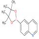 6-喹啉硼酸频那醇酯-CAS:406463-06-7