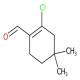 2-氯-4,4-二甲基环己-1-烯甲醛-CAS:1228943-80-3