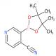 4-氰基吡啶-3-硼酸频哪醇酯-CAS:878194-91-3
