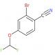2-溴-4-(二氟甲氧基)苯腈-CAS:1261818-72-7