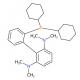 2-二环己基膦-2'6'-双(N,N-二甲胺基)-1,1'-联苯-CAS:1160556-64-8