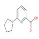 6-(1-吡咯烷基)-2-吡啶甲酸-CAS:450368-20-4