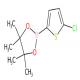 5-氯噻吩-2-硼酸频哪醇酯-CAS:635305-24-7