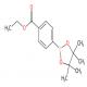 4-乙氧羰基苯硼酸频哪醇酯-CAS:195062-62-5