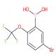 5-溴-2-三氟甲氧基苯硼酸-CAS:1072951-56-4