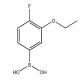 3-乙氧基-4-氟苯硼酸-CAS:900174-65-4