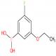 3-乙氧基-5-氟苯硼酸-CAS:850589-53-6