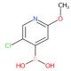 5-氯-2-甲氧基-4-吡啶硼酸-CAS:475275-69-5